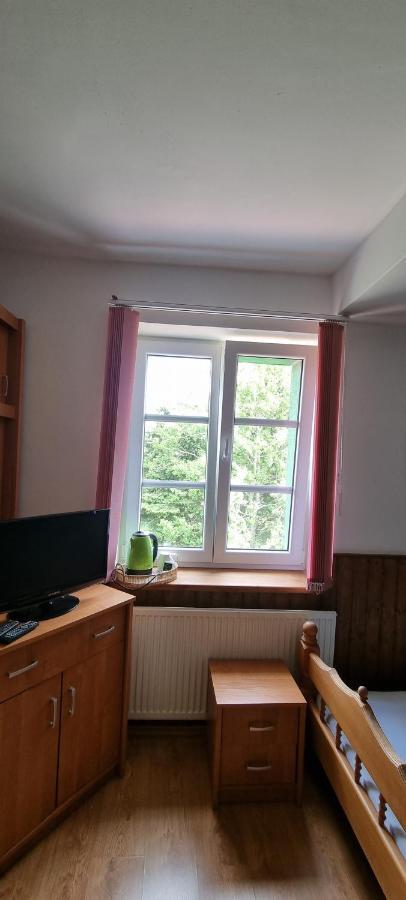 Pension Pod Lipou Nova Ves v Horach Zewnętrze zdjęcie