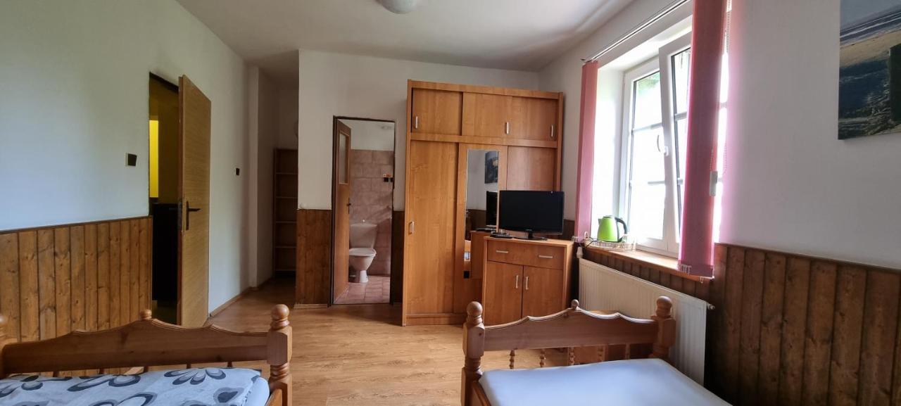 Pension Pod Lipou Nova Ves v Horach Zewnętrze zdjęcie