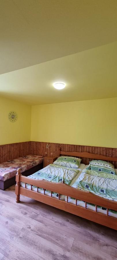 Pension Pod Lipou Nova Ves v Horach Zewnętrze zdjęcie