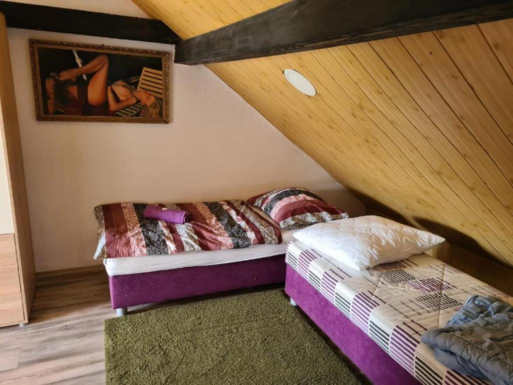 Pension Pod Lipou Nova Ves v Horach Zewnętrze zdjęcie